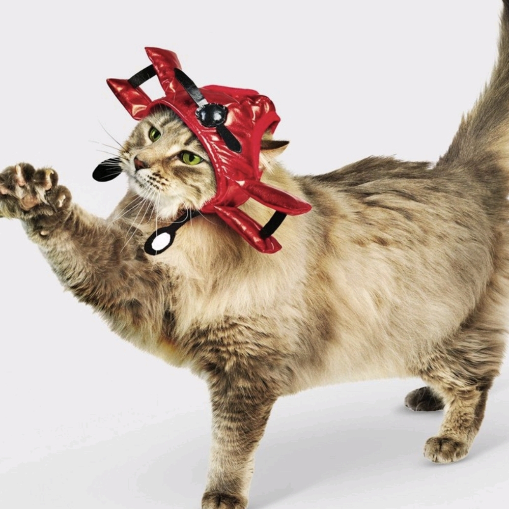 HYDE & EEK Biplane Velcro Cat Hat